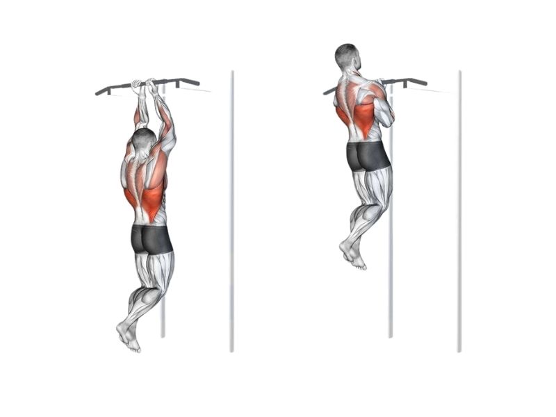 Close Grip Chins là bài tập xô với xà đơn vô cùng hiệu quả