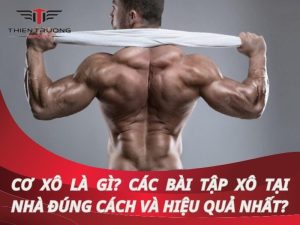 Cơ xô là gì? Các bài tập xô tại nhà đúng cách & hiệu quả nhất?