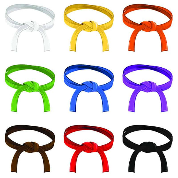 Đai trong môn võ thuật teakwondo có tất cả 6 màu sắc phân biệt cấp bậc và đem lại nhiều công dụng