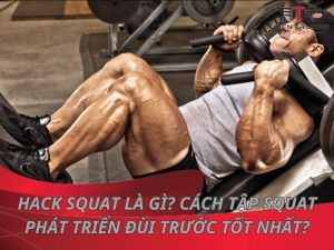 Hack Squat là gì? Cách tập Squat phát triển đùi trước tốt nhất?