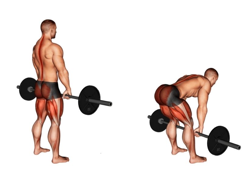 Bài tập Clean Deadlift