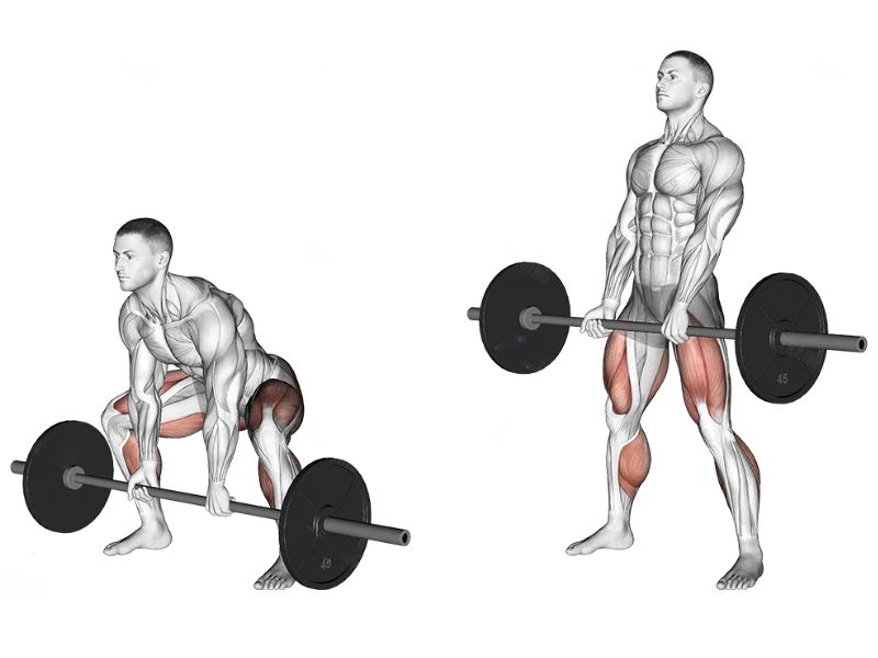 Sumo Deadlift là bài tập thể hình có tác dụng rất tốt cho phần cơ Hamstring và cơ mông
