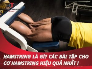 Hamstring là gì