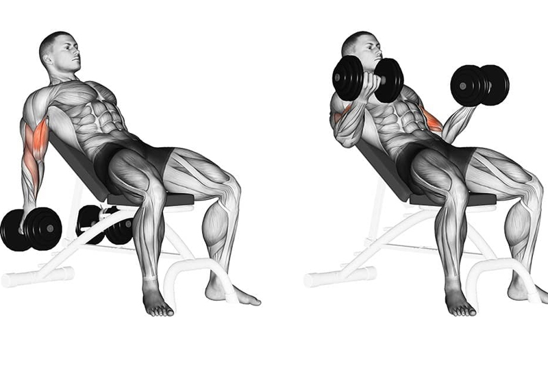 Bài tập incline dumbbell curl