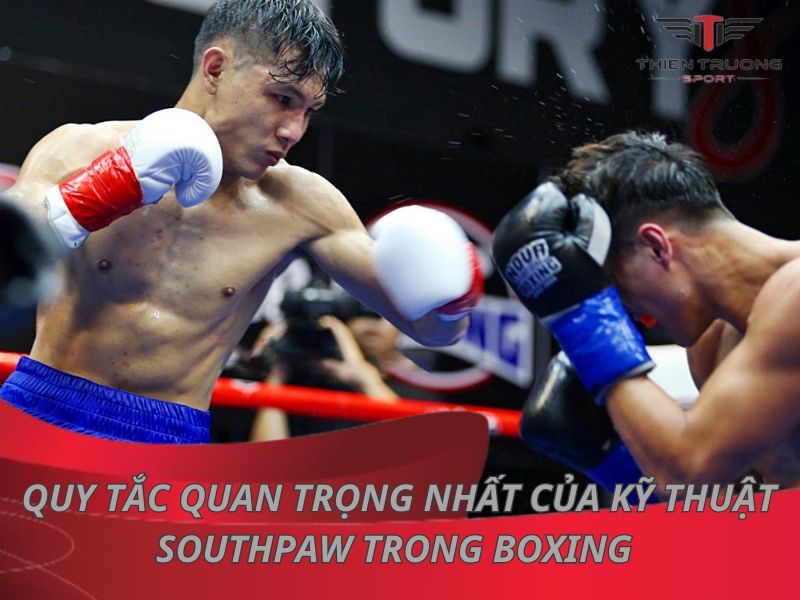 3 quy tắc quan trọng nhất của kỹ thuật Southpaw trong Boxing