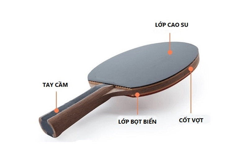Mặt vợt bóng bàn có lớp đệm cao su