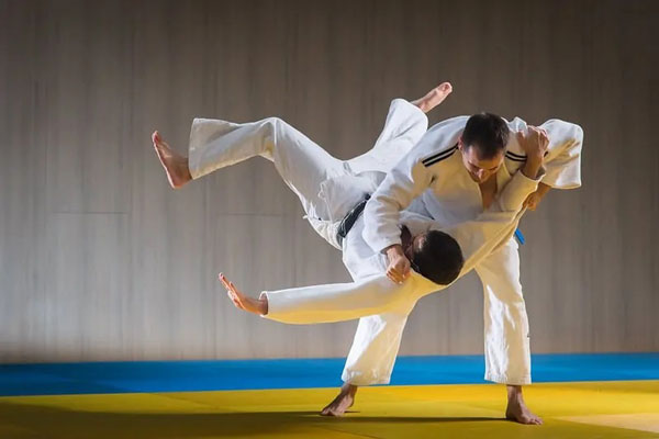 Môn võ Judo