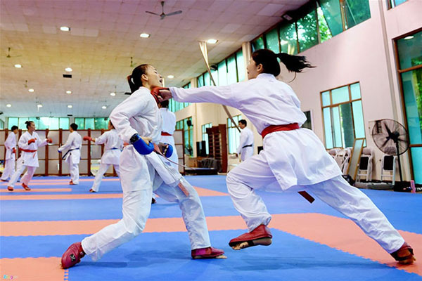 Môn võ Karatedo