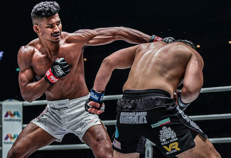 MMA là một môn võ thuật