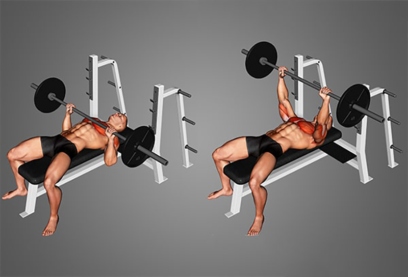 Hướng dẫn cách nằm đẩy tạ đòn trên ghế phẳng