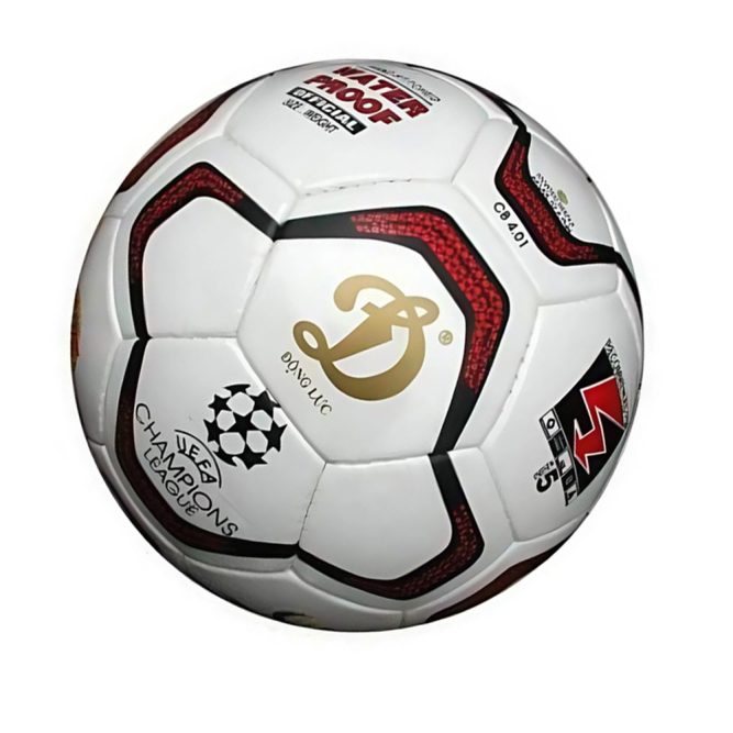 quả bóng đá động lực