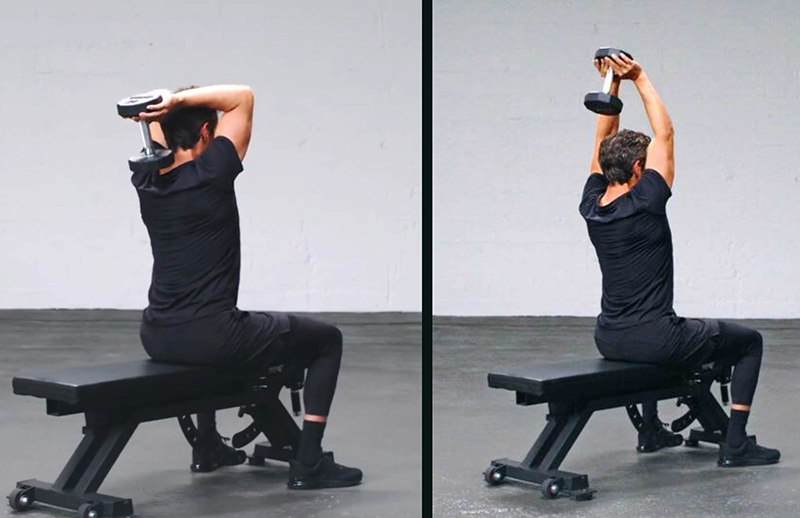 Bài tập seated dumbbell overhead triceps extension