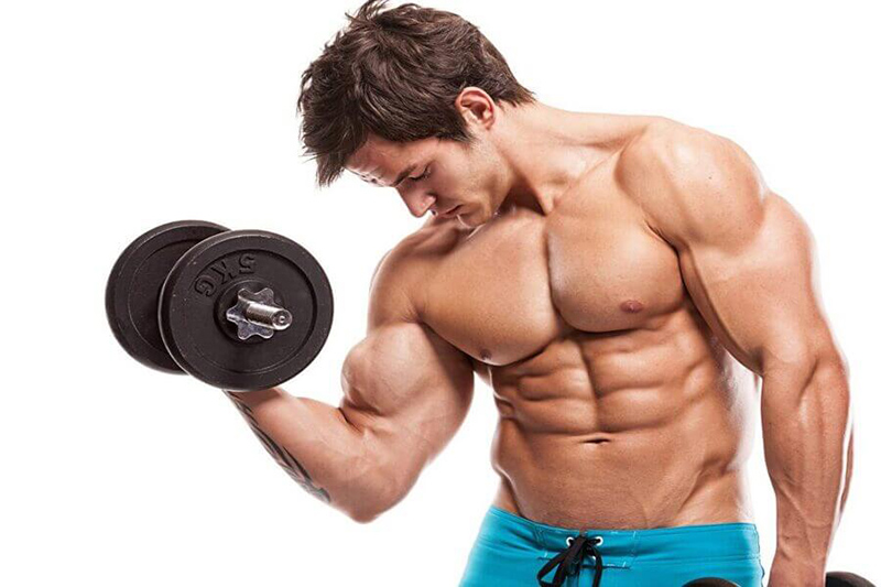 tạ tay lựa chọn hàng đầu cho gymer