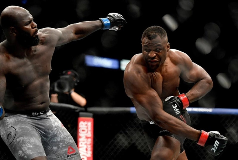 Các võ sĩ chuyên nghiệp sở hữu lực đấm rất mạnh