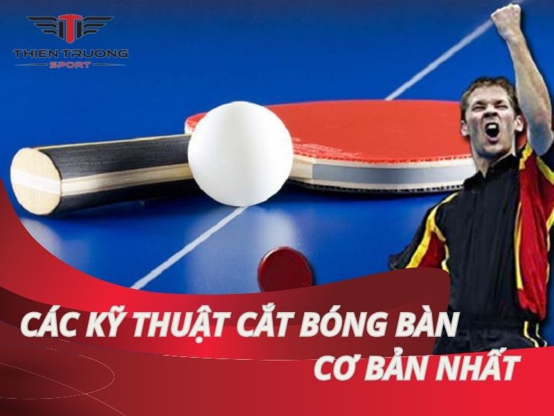 Các kỹ thuật cắt bóng bàn cơ bản nhất cho người chơi bóng bàn