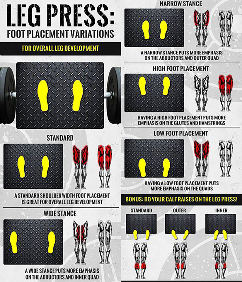 Vị trí đặt chân khi tập Leg Press