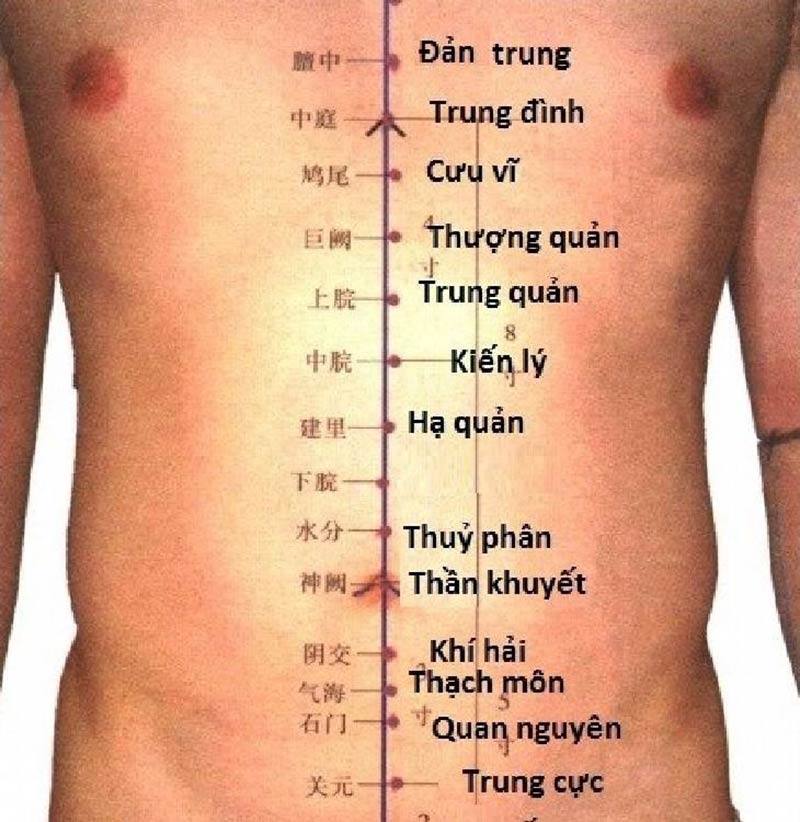 Huyệt đạo ở vùng bụng