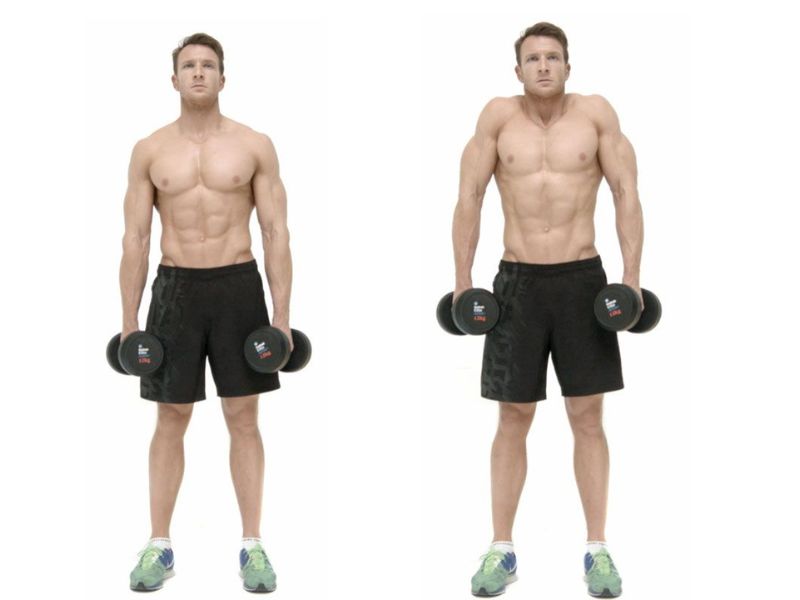 Bài tập Dumbbell Shrug