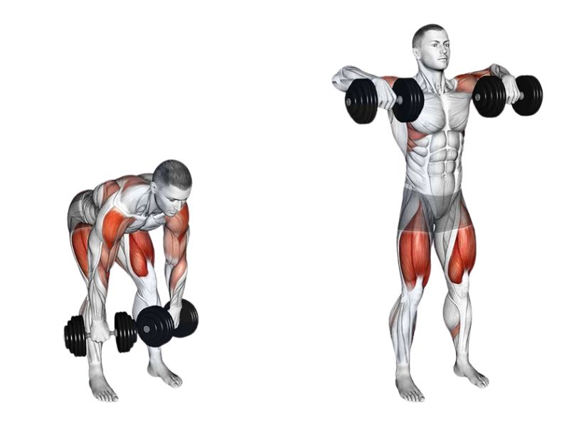 Động tác Dumbbell High Pull