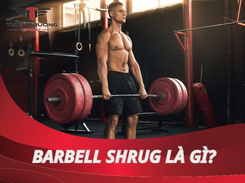 Barbell Shrug