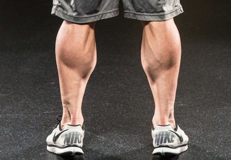 Nhóm cơ Calves là gì?