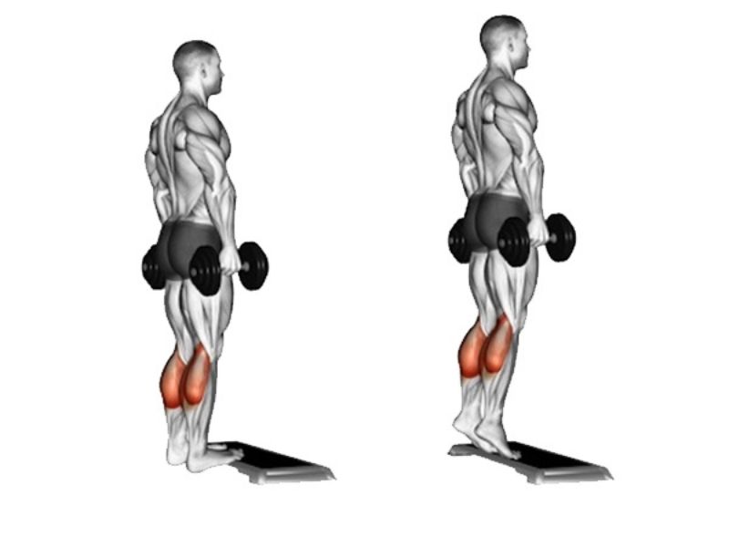 Bài tập Calf Raises