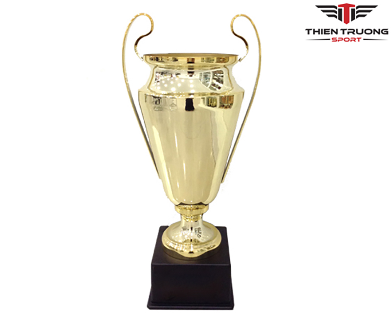 Hình ảnh cúp thể thao 9V1125