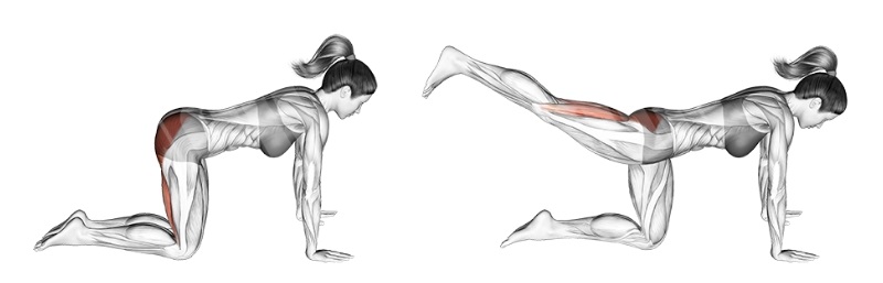 Donkey Kick là gì? Cách tập Donkey Kick để vòng 3 căng tròn