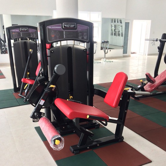Lắp đặt phòng tập Gym