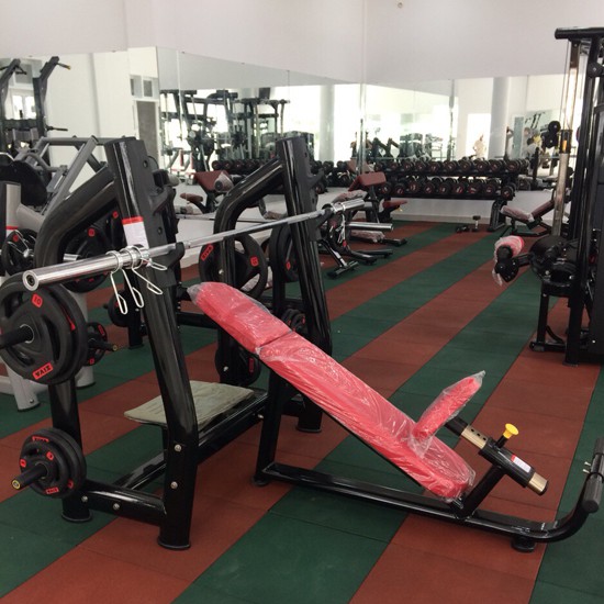 Lap phong tap Gym tai Vung Tau 8