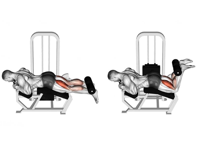 Bài tập Lying Leg Curl