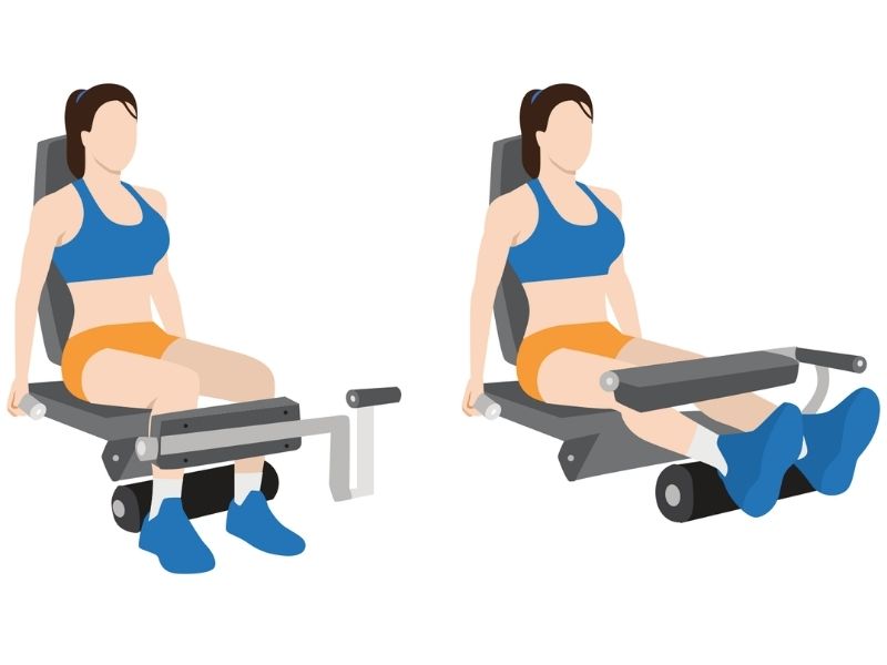 bài tập Seated Leg Curl