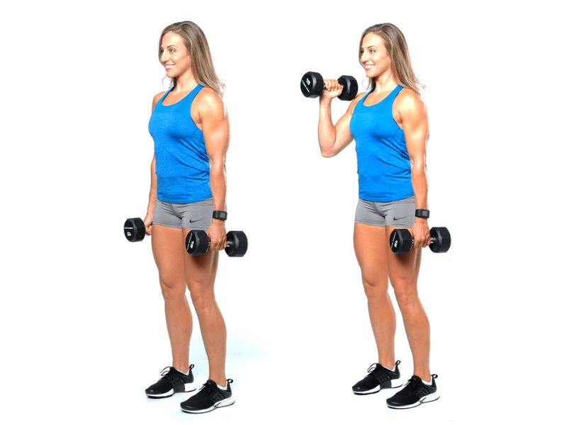 lịch tập gym cho người béo