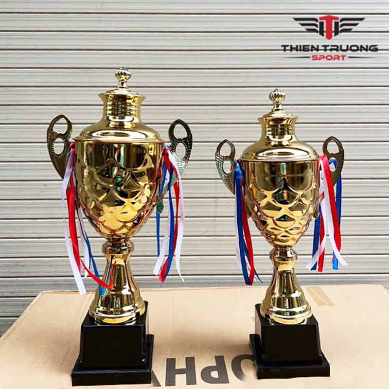 Cúp thể thao 3168