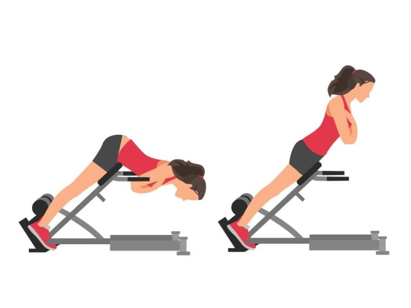 Bài tập Back Extension