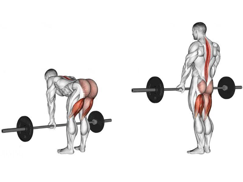 Bài tập Romanian Deadlift