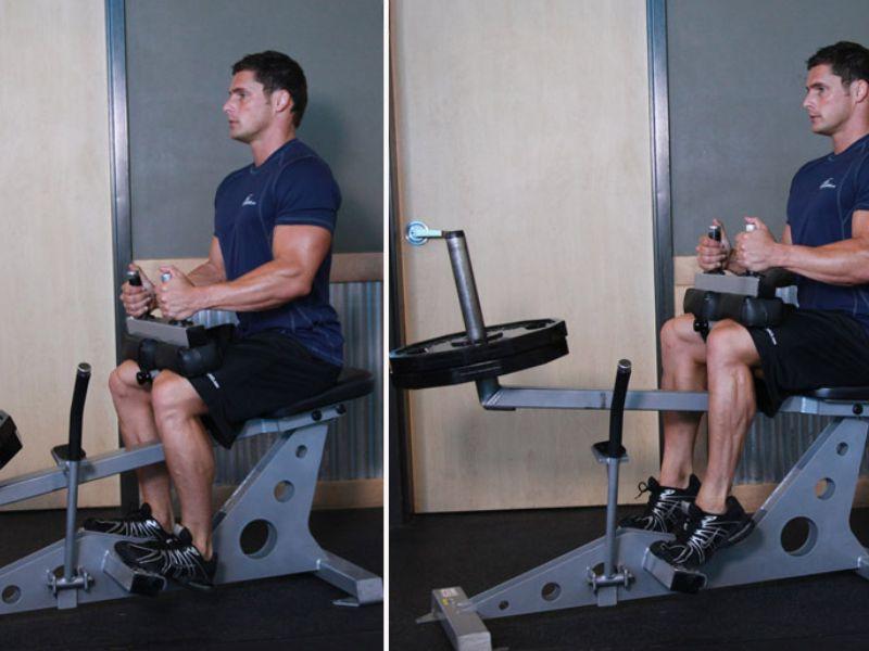Bài tập Seated Calf Raise