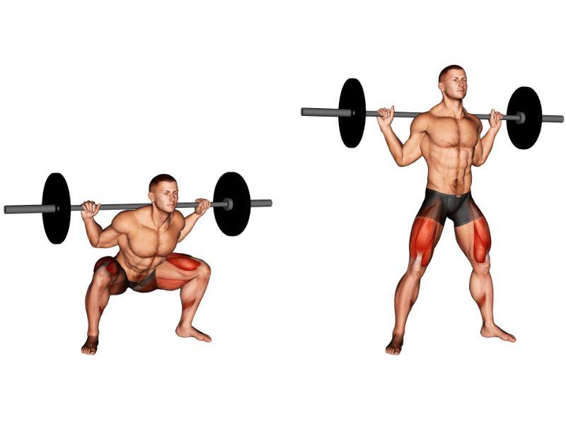 Bài tập Wide Stance Barbell Squat - Squat chân rộng