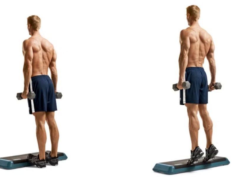 Bài tập Standing Dumbbell Calf Raise