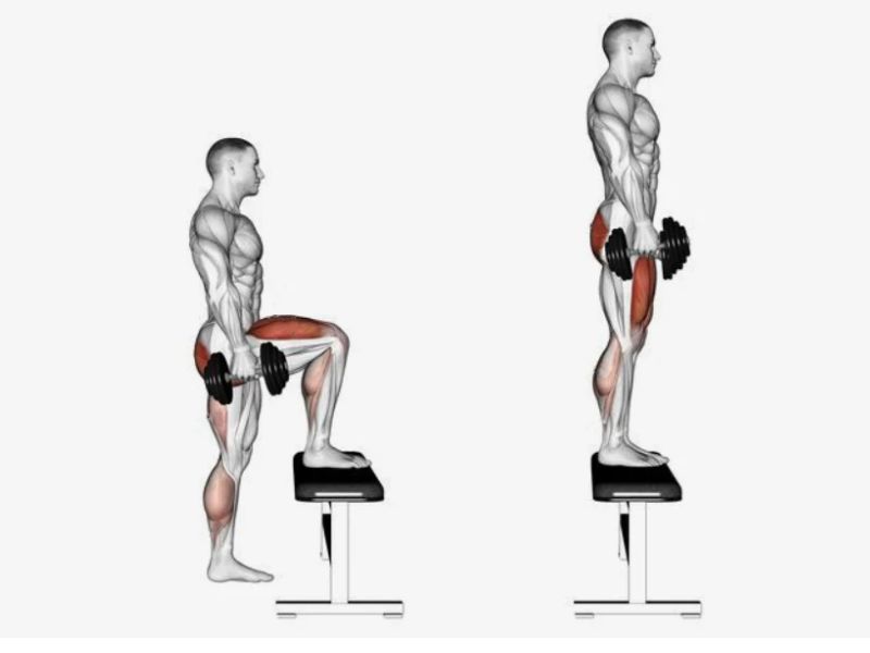 Bài tập Dumbbell Step Up