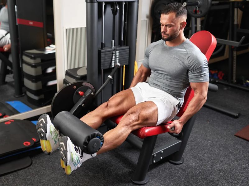 Leg Extension là một trong những bài tập cơ đùi trước được Gymer áp dụng nhiều nhất