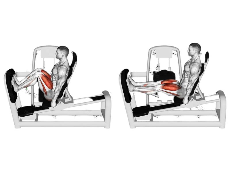 Bài tập Leg Press với 2 chân hẹp