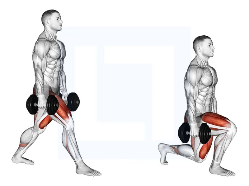 Dumbbell Split Squat là bài tập đùi trước thực hiện đơn giản nhưng đem lại kết quả rất tốt