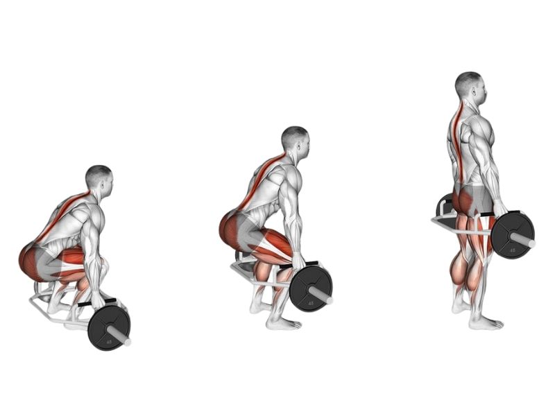 Bài tập cơ đùi trước Deadlift