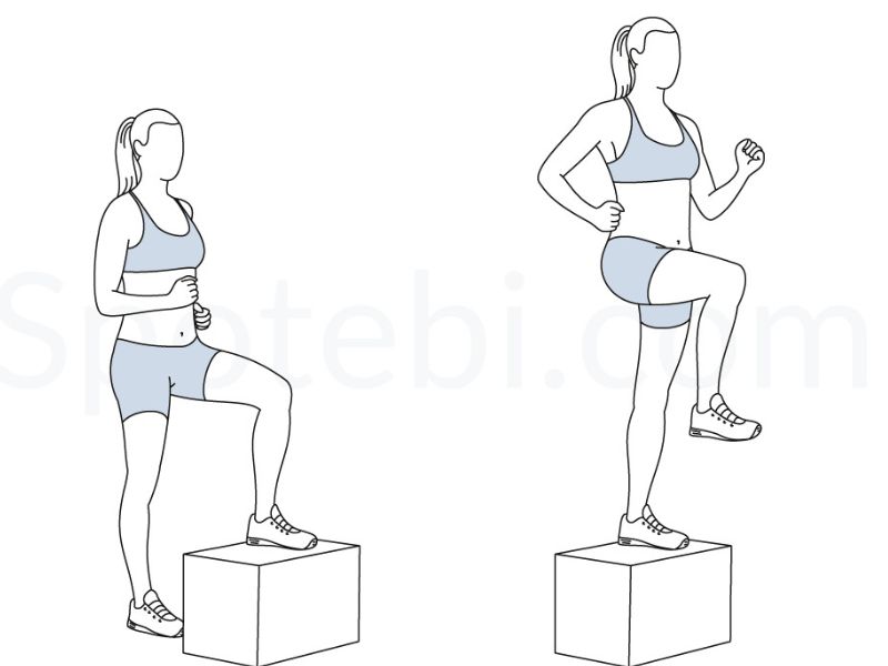 Step-Up là một bài tập đơn giản nhưng rất hiệu quả