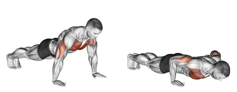 Bài tập ngực dưới tại nhà Push Up