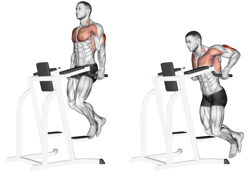 Bài tập Renegade Row with Push Up