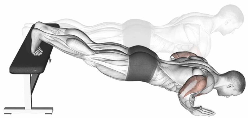 Bài tập Decline Push Up