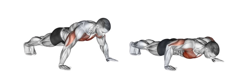 Bài tập Wide Push Up