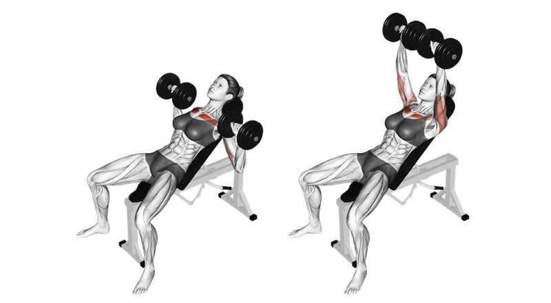 Bài tập Dumbbell Bench Press